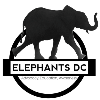 http://elephantsdc.org/
