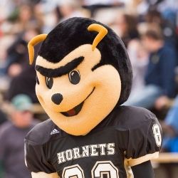 emporia state homecoming