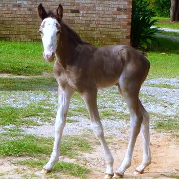 Mona at 7 days old
