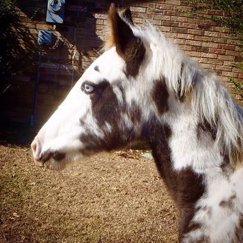 Those blue eyes are captivating.
