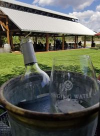 Car Show , wine, and food!