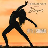 "(IT'S A) SHAME" © 2024 Chocolate Pulse Music (BMI) by SounDoctrine Presents Chocolate Pulse feat Two Elegant