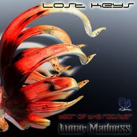 Lunar Madness by Lost Keys