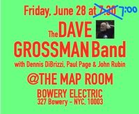 The Dave Grossman Band