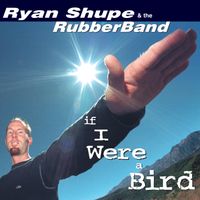 If I Were A Bird by Ryan Shupe & the RubberBand