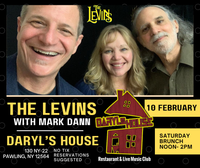 The Levins with Mark Dann