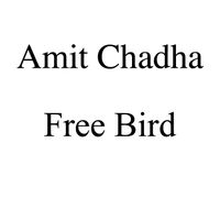 Free Bird by Amit Chadha