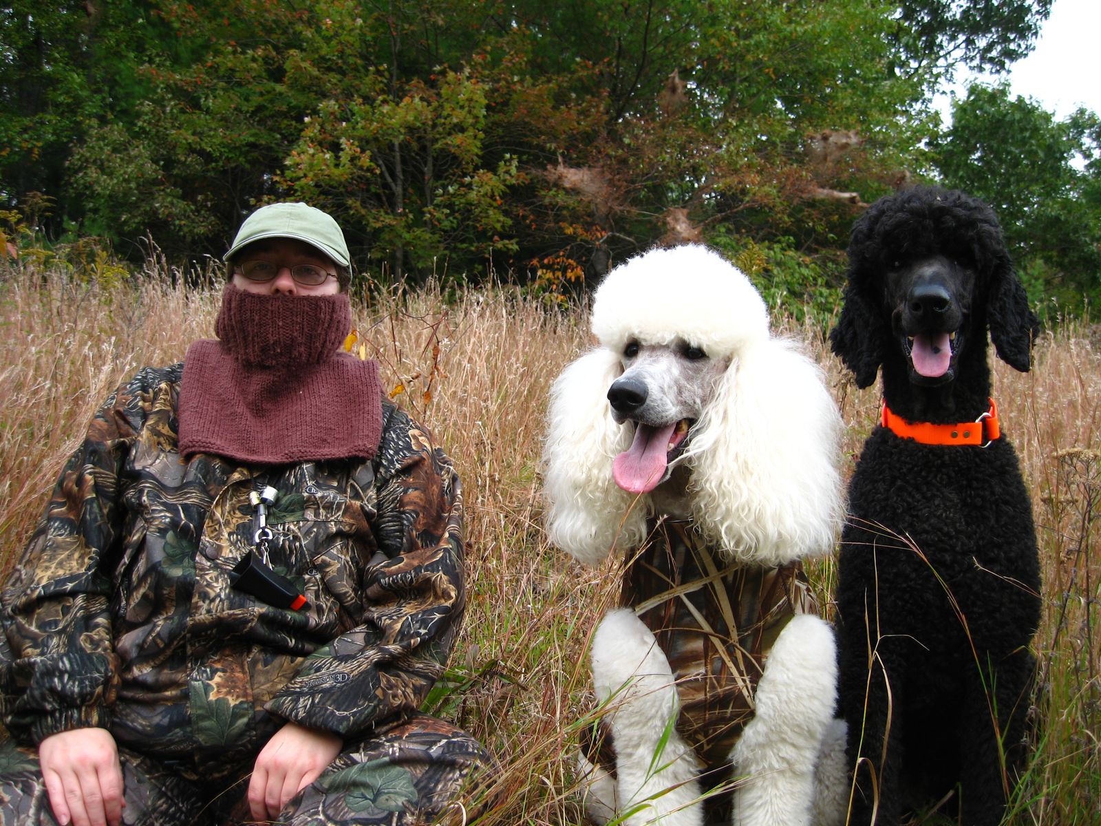 DoeValley Standard Poodles Hunting & Herding