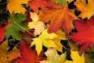 Autumn Leaves - Joseph Kosma (arr. Doug Morton)