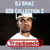 DJ SPINZ 808 COLLECTION 2(WAV FORMAT)