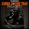 Birds in the Trap drumkit (Win/Mac/Korg/MPC format)