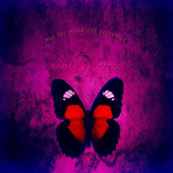 All The While The Butterfly: CD