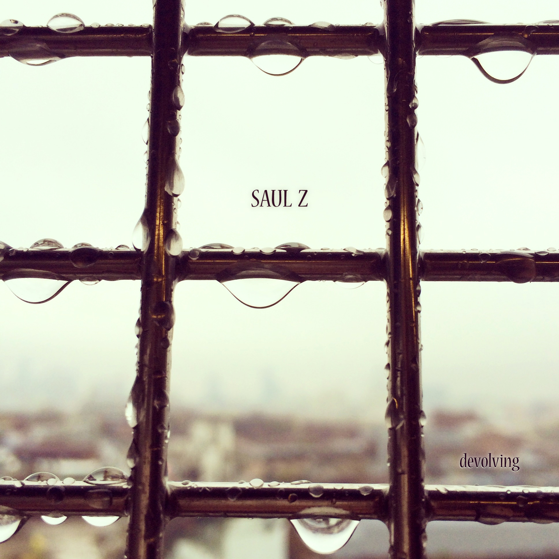 devolving: CD - Saul Zonana