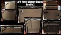Fender Amps - Vintage Pack 2