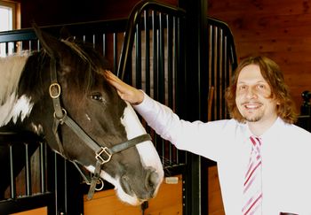 Amazing gypsy horses.
