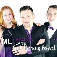 Soul Stirring Revival by Meadow Lane