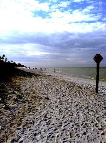 Naples, FL. 12/2013
