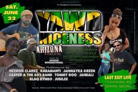 YAWD Niceness