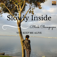 Slowly Inside, You Keep Me  Alive - Single by Black Champagne
