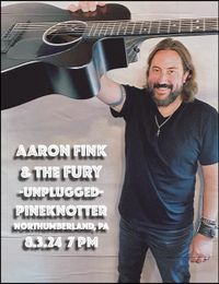 AARON FINK & THE FURY (unplugged)