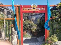 Coral Live - Secret Garden - Waihi Beach