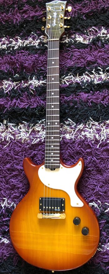 GORDON SMITH "GS1" (Custom Order)  A new addition and could well become my main stage guitar. Made in the UK, Simplicity at it's best!
