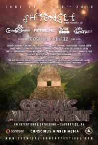 Noah Lehrman Live @ Cosmic Alignment Festival!