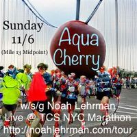 Aqua Cherry w/ Noah Lehrman @ NYC Marathon