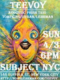 TeeVoY: Acoustic Phish Trio ft Noah Lehrman on Percussion in NYC!