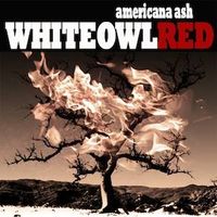 Americana Ash by White Owl Red