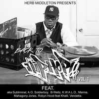 Back To Hip Hop ( IN DEVELOPMENT) by Herb Middleton feat Various Artists 