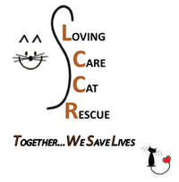 Loving Care Cat Rescue Fundraiser*