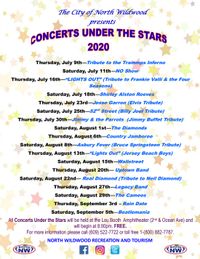 Concert Under the Stars