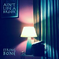 Ain't Life A Brook (Ferron Cover) by String Bone (feat. George Leger III)