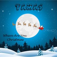 Where Are You Christmas by Tamas Szekeres