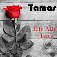 Life After Love by Tamas Szekeres
