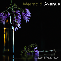 Jacarandas by Mermaid Avenue