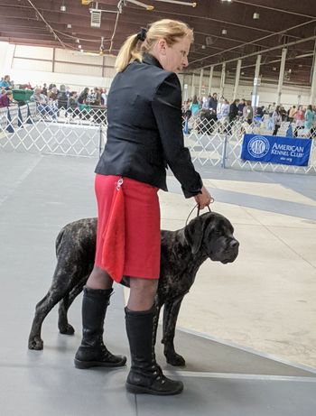 GEEG at her first show 6 mos
