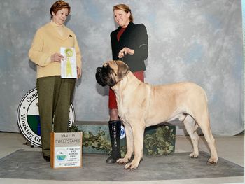 Best puppy in sweeps at CT River working specialty
