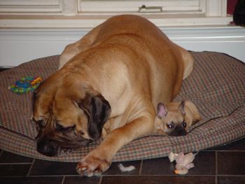 Deneiro and Hoover

