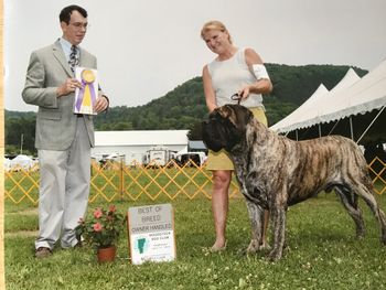 Blade at 27 mos taking breed 3 days in a row and select the last day
