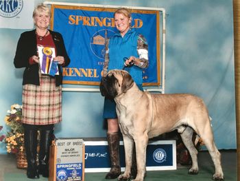 11 mos winning Best of Breed over Specials
