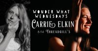 Wonder What Wednesdays with Carrie Elkin!