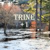 Trine  2 CD Bundle for  "Politics" and "+1"