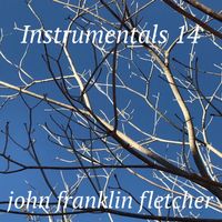 Instrumentals 14 by John Franklin Fletcher