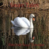 Swan Tales by Fletcher Soul Travelers