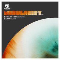 MODULARITY - PART 7 by VARIOUS ARTISTS