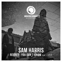 REGRET / YOU DON'T KNOW (FEAT. LUCIA) - SINGLE by SAM HARRIS