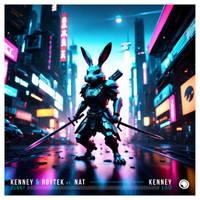 BUNNY / VOID by KENNEY & ROYTEK (FEAT. NAT)