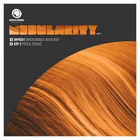 MODULARITY - PART 8 by VARIOUS ARTISTS
